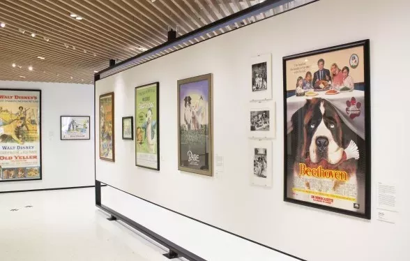 Hollywood dogs are getting their own NYC museum exhibition